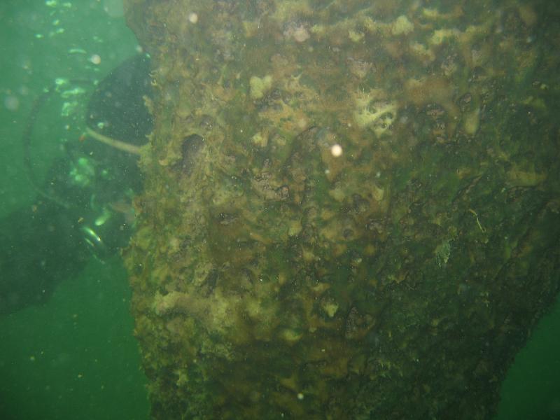 April 2007 Diving Beaver Lakes 022.JPG